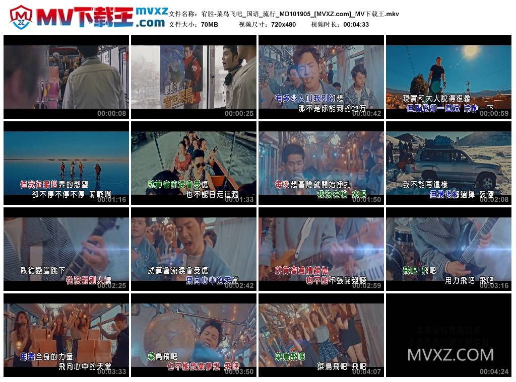 宥胜-菜鸟飞吧_国语_流行_MD101905